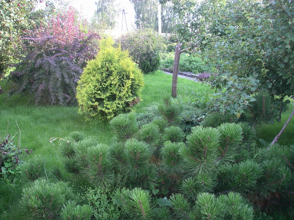 Благоустройство и озеленение