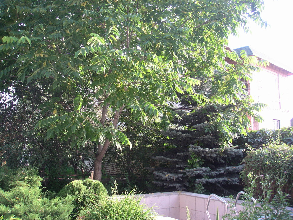 Строительство благоустройство озеленение участка сада