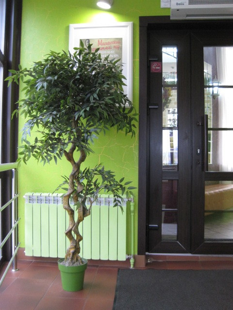 Обложка проекта: ресторан Беседа и Павлин