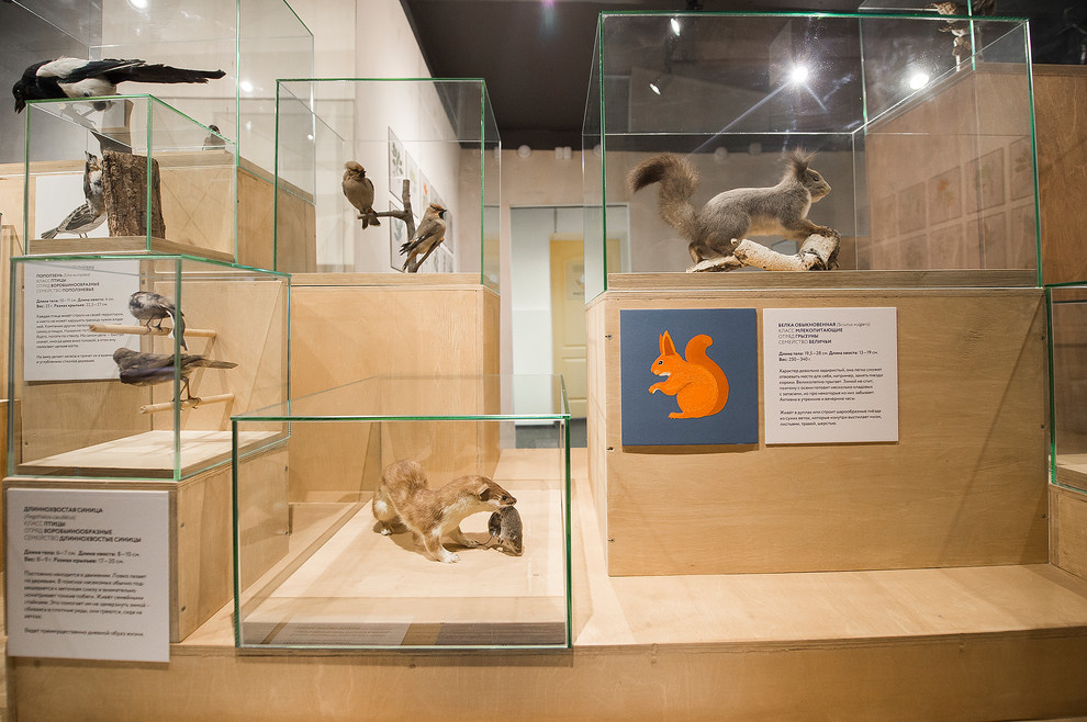 Обложка проекта: «Соседи»