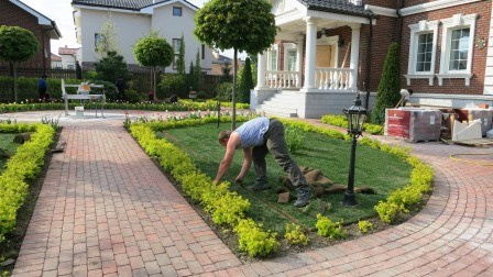 Озеленение и благоустройство участка.