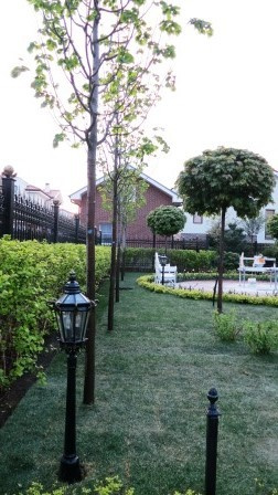 Озеленение и благоустройство участка.