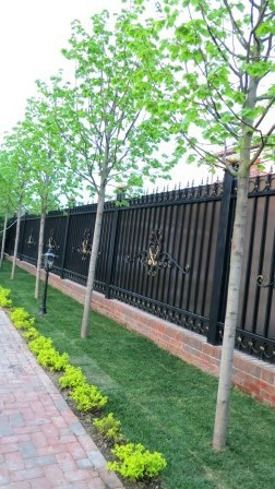 Озеленение и благоустройство участка.