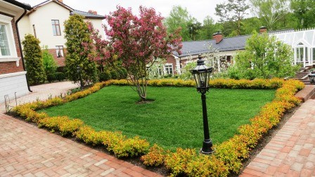 Озеленение и благоустройство участка.