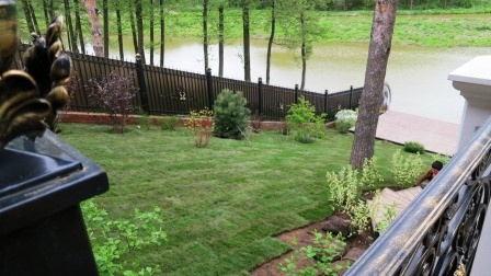 Озеленение и благоустройство участка.