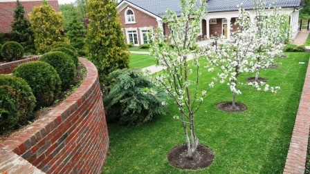 Озеленение и благоустройство участка.