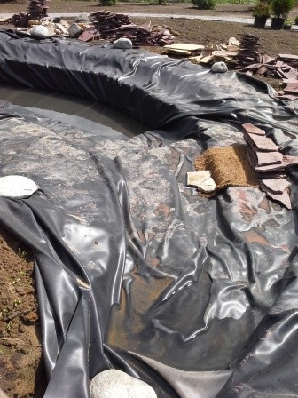 Устройство пруда