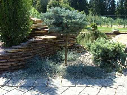 Устройство пруда