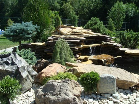 Обложка проекта: Устройство пруда