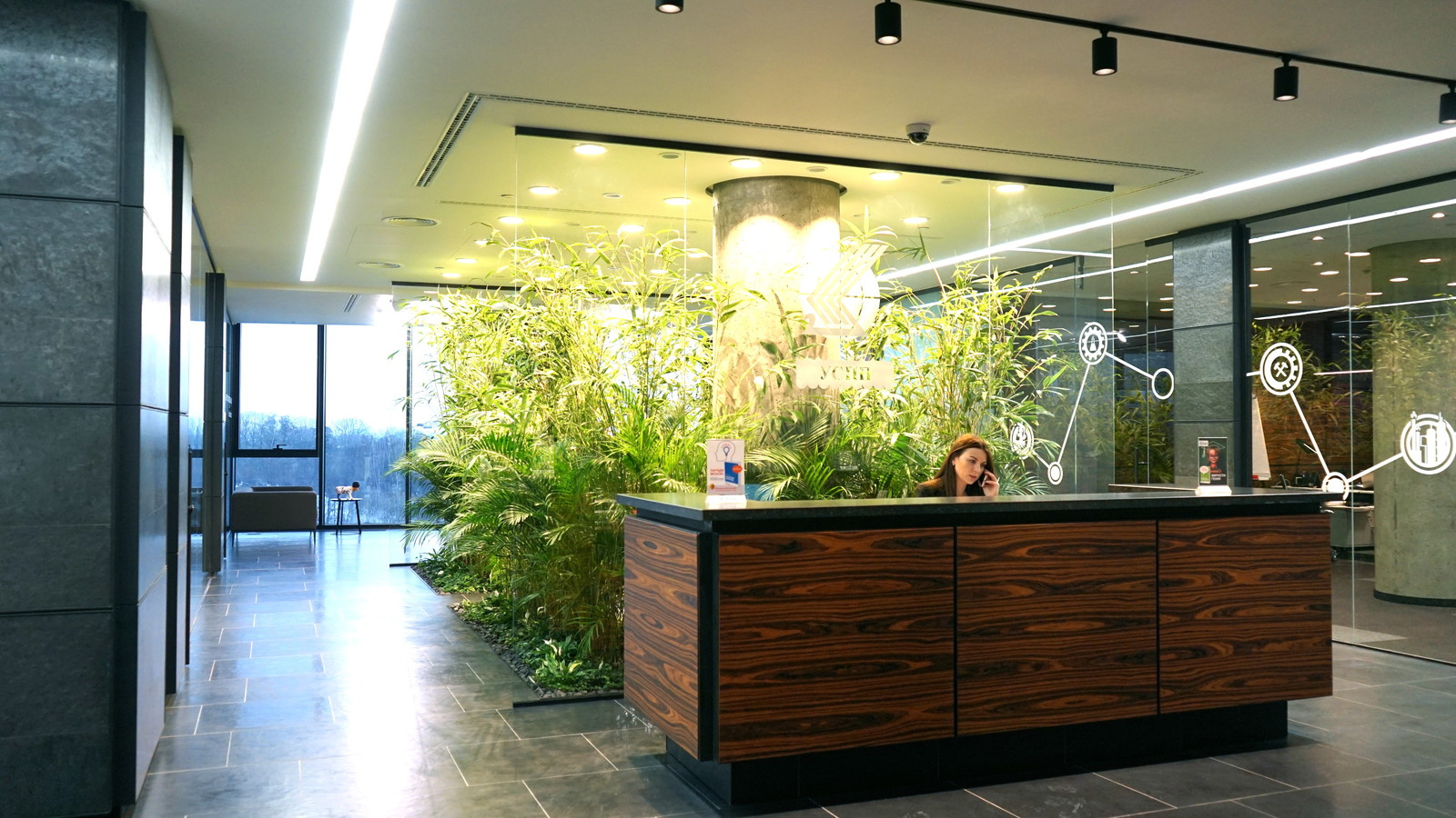 Внутреннее озеленение офиса