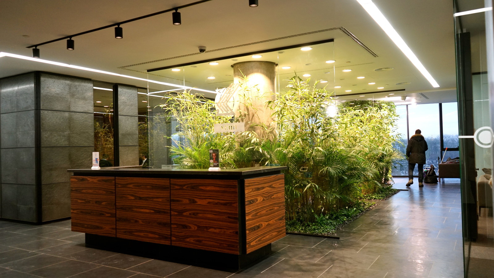 Внутреннее озеленение офиса