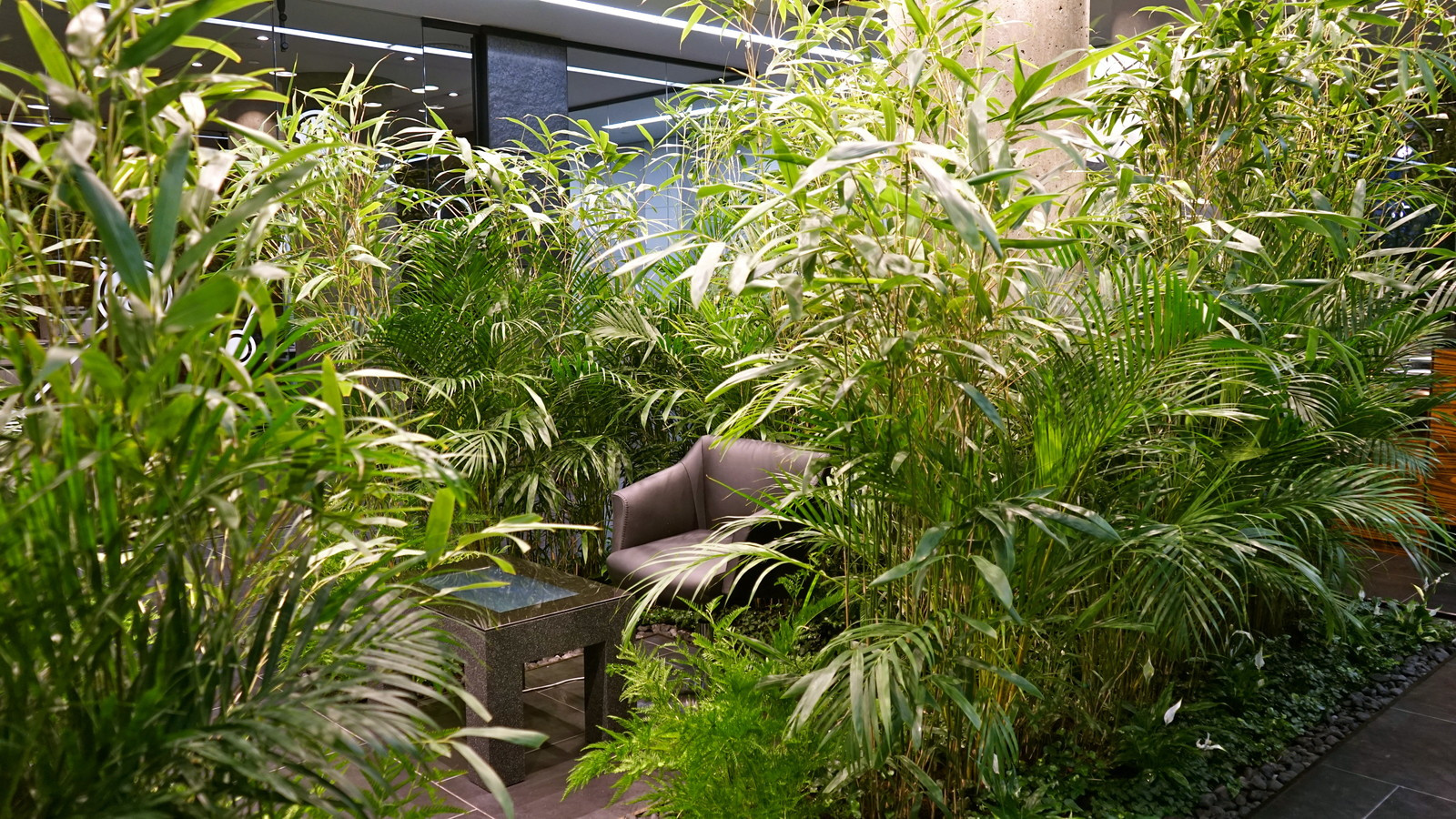 Внутреннее озеленение офиса