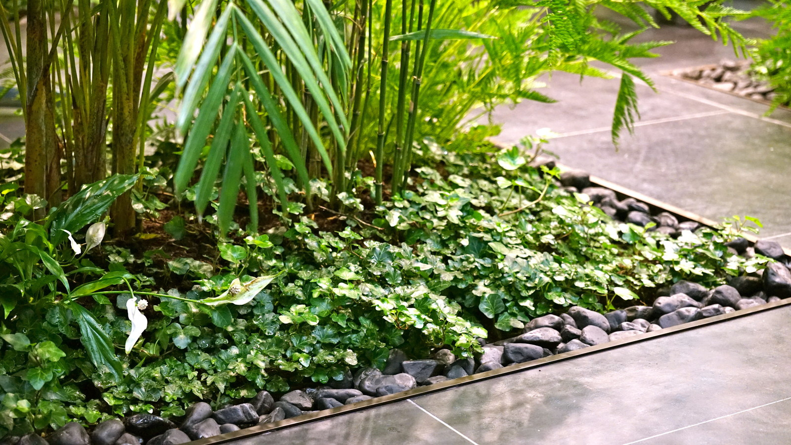 Внутреннее озеленение офиса