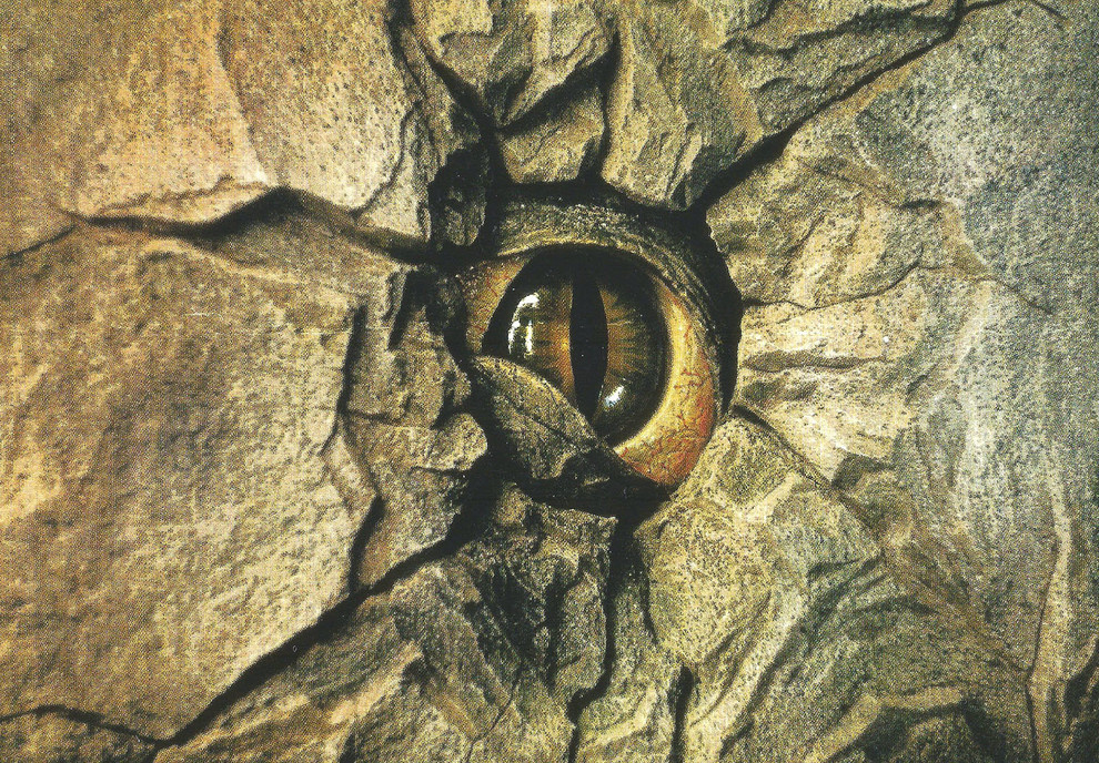 Раздоры, частная территория