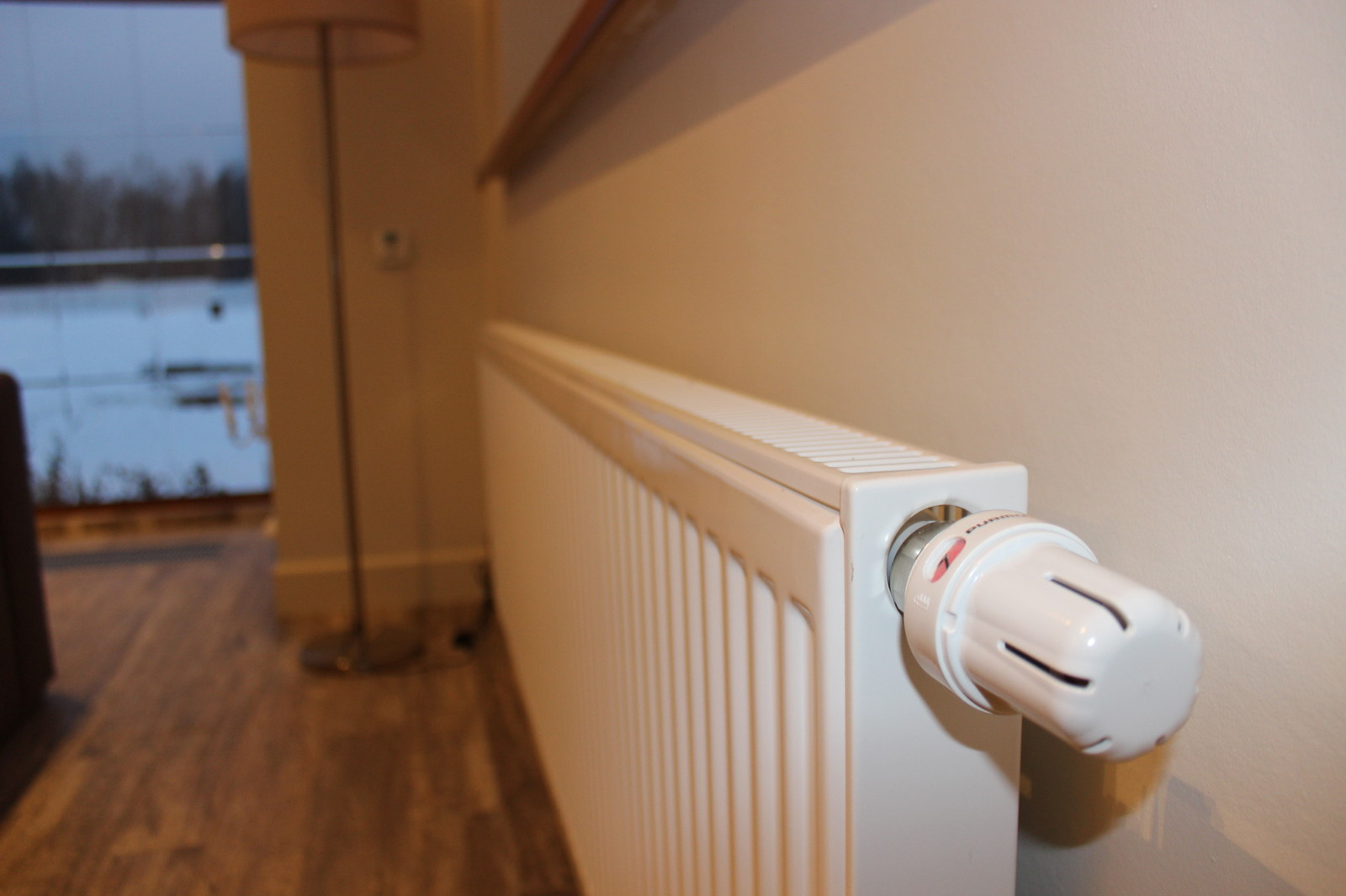 Романовский Парк