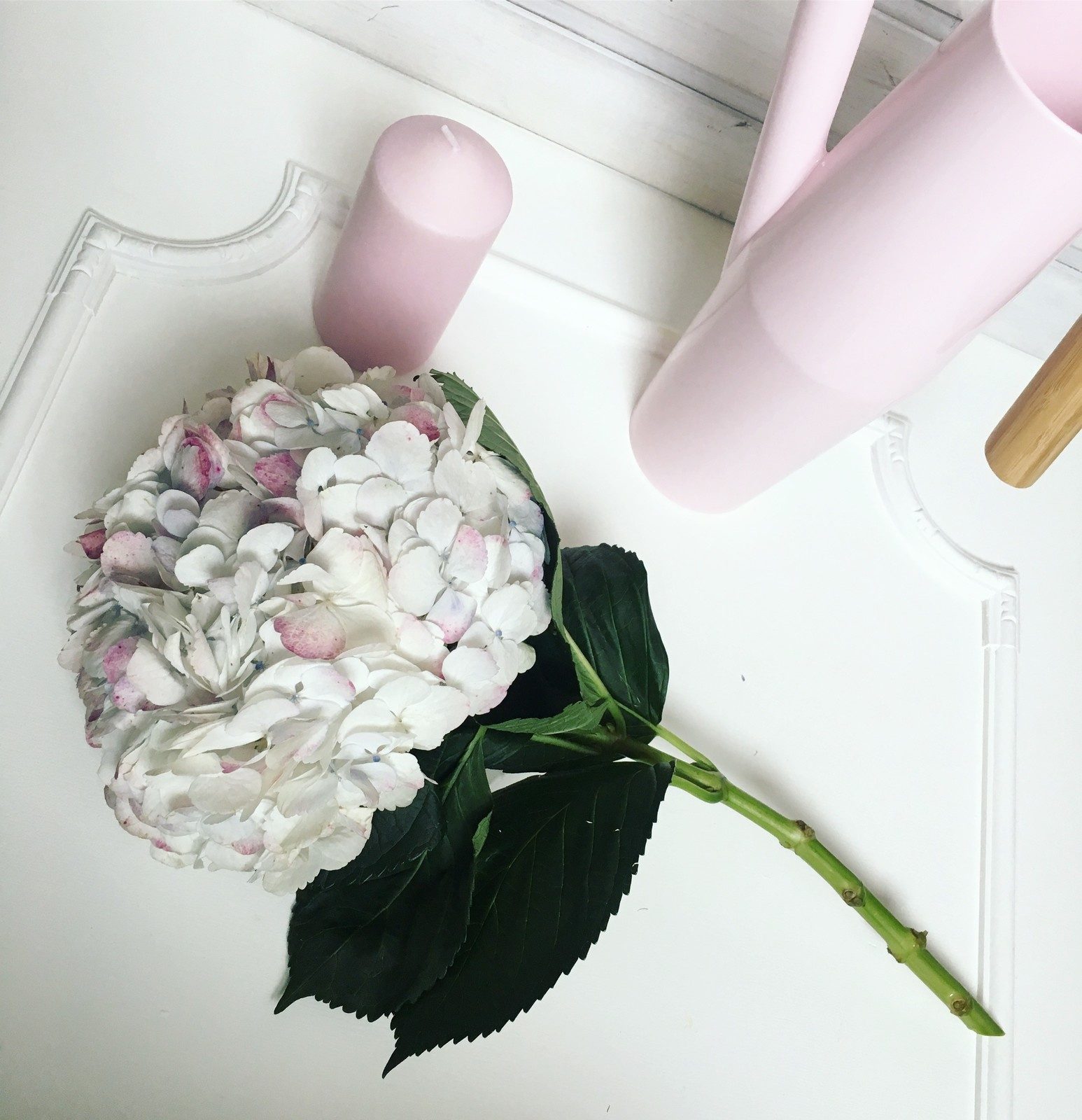 Обложка проекта: Букеты