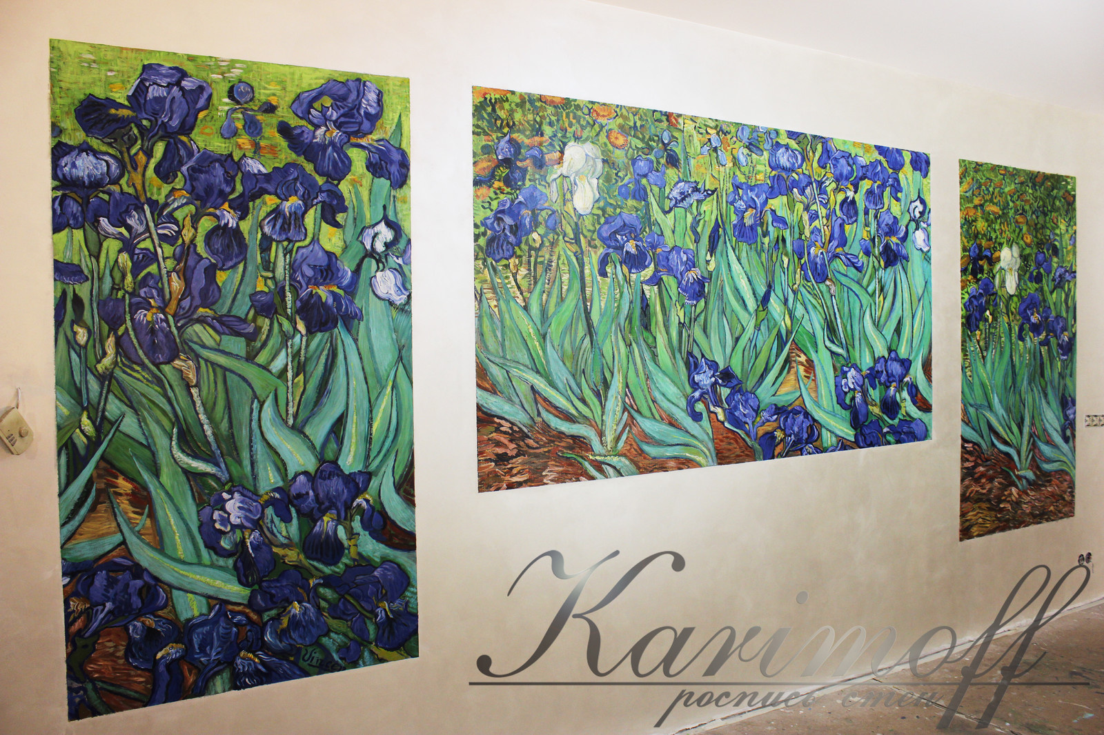 Обложка проекта: Репродукция Ван Гога "Ирисы"