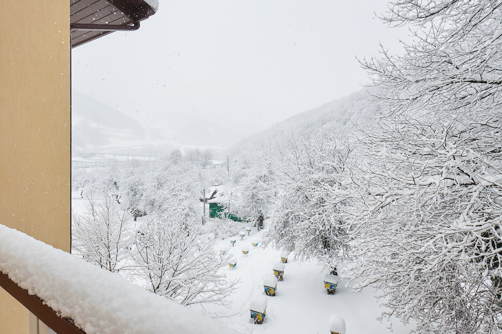 Houzz-call: Покажите нам русскую зиму из вашего окна