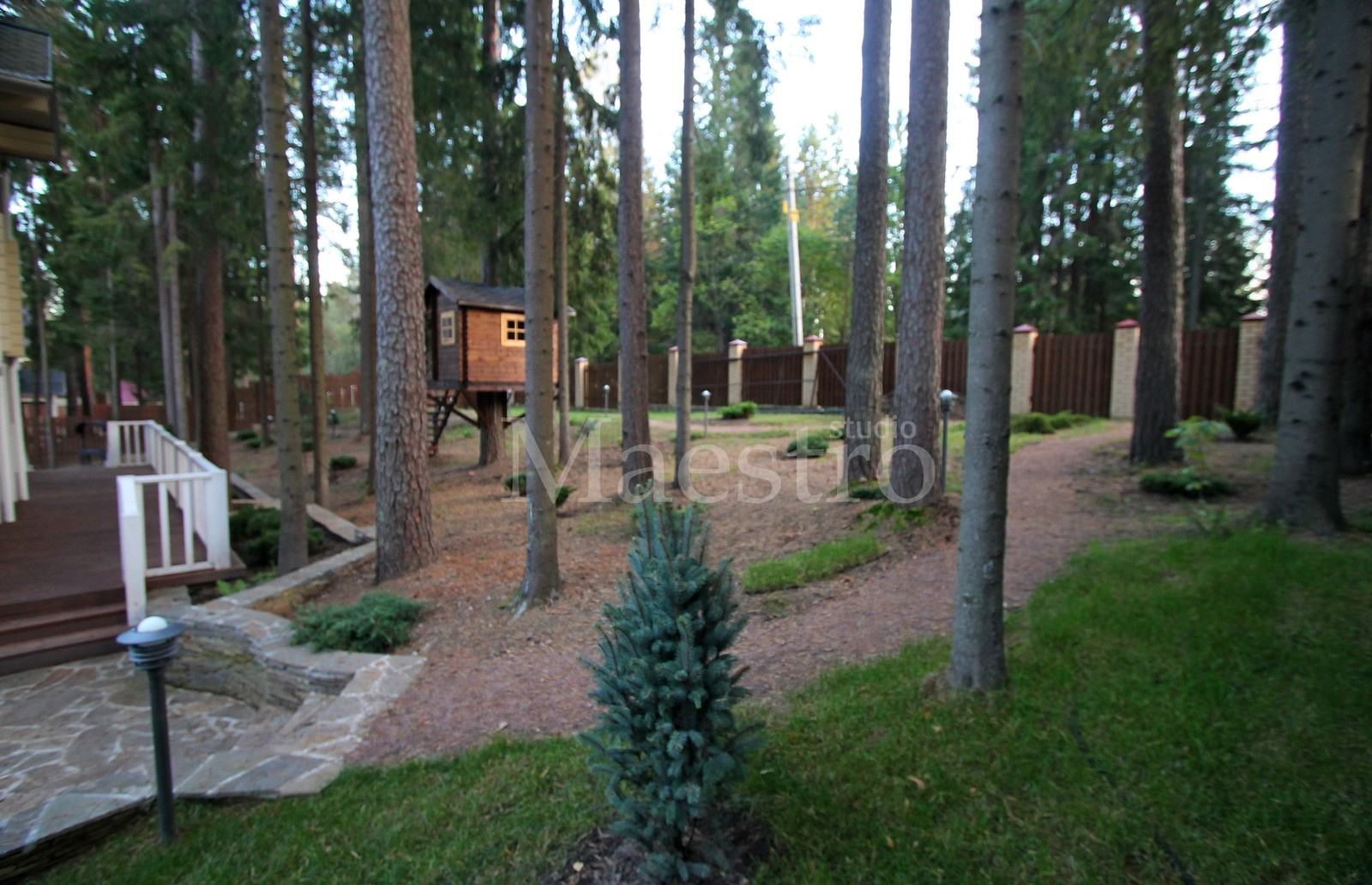 Домик на дереве