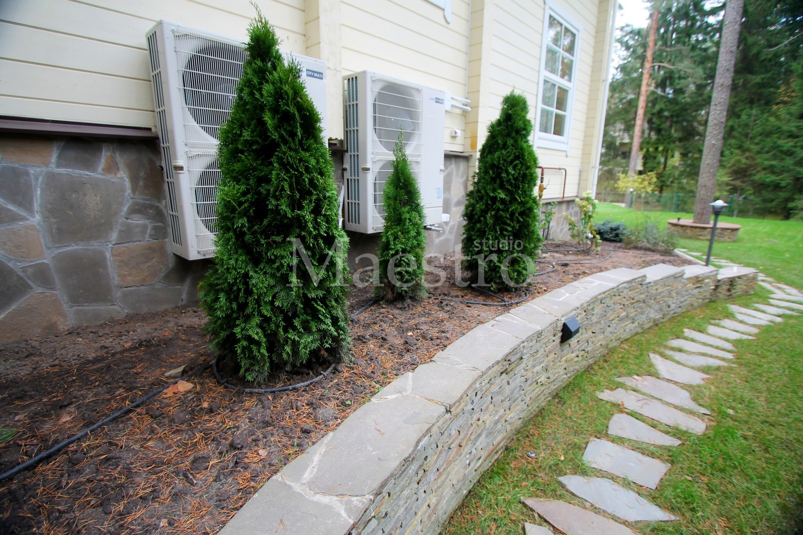 Можжевельник | Озеленение участка | Мощение