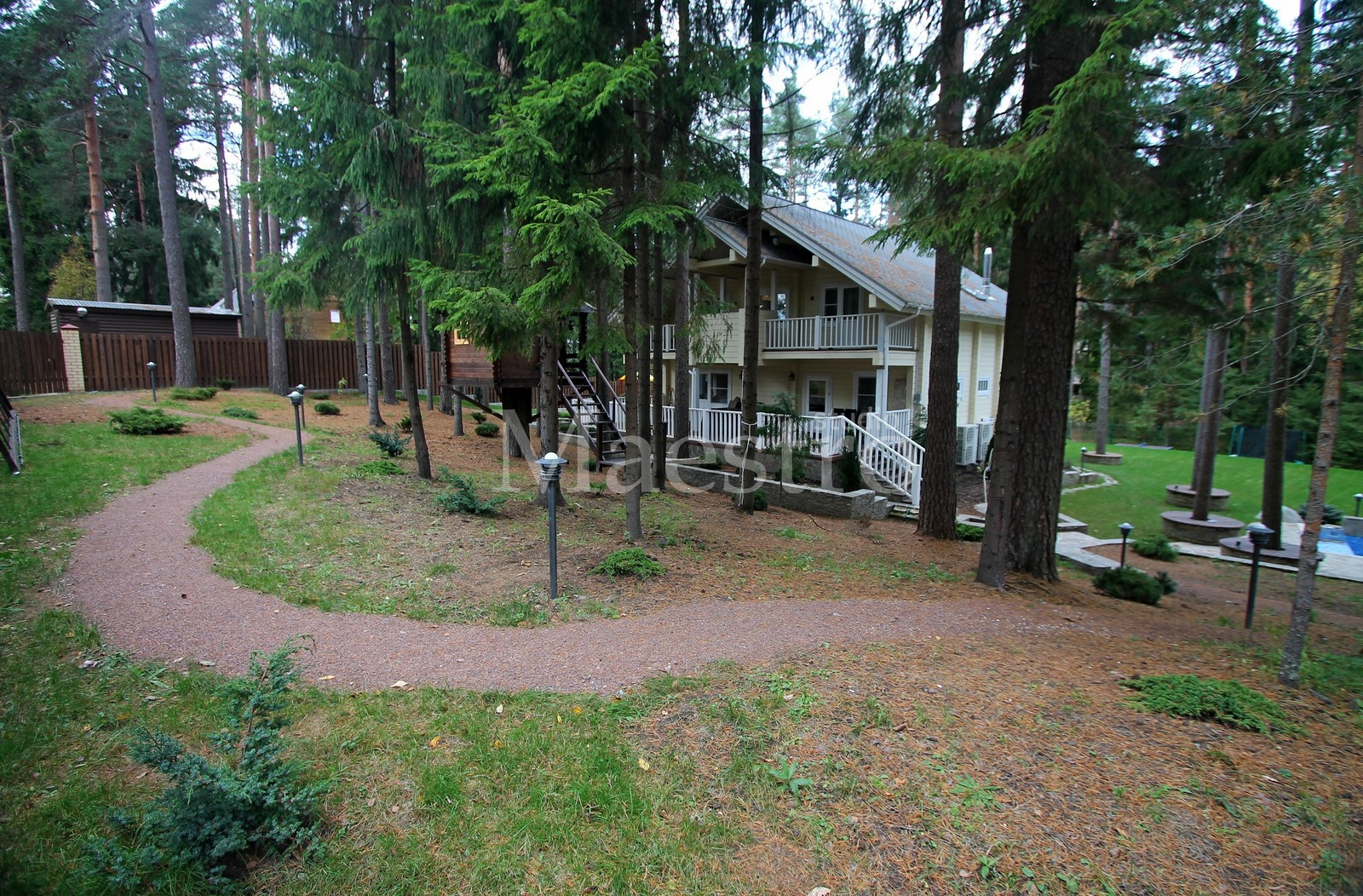 Лесная зона с черничником