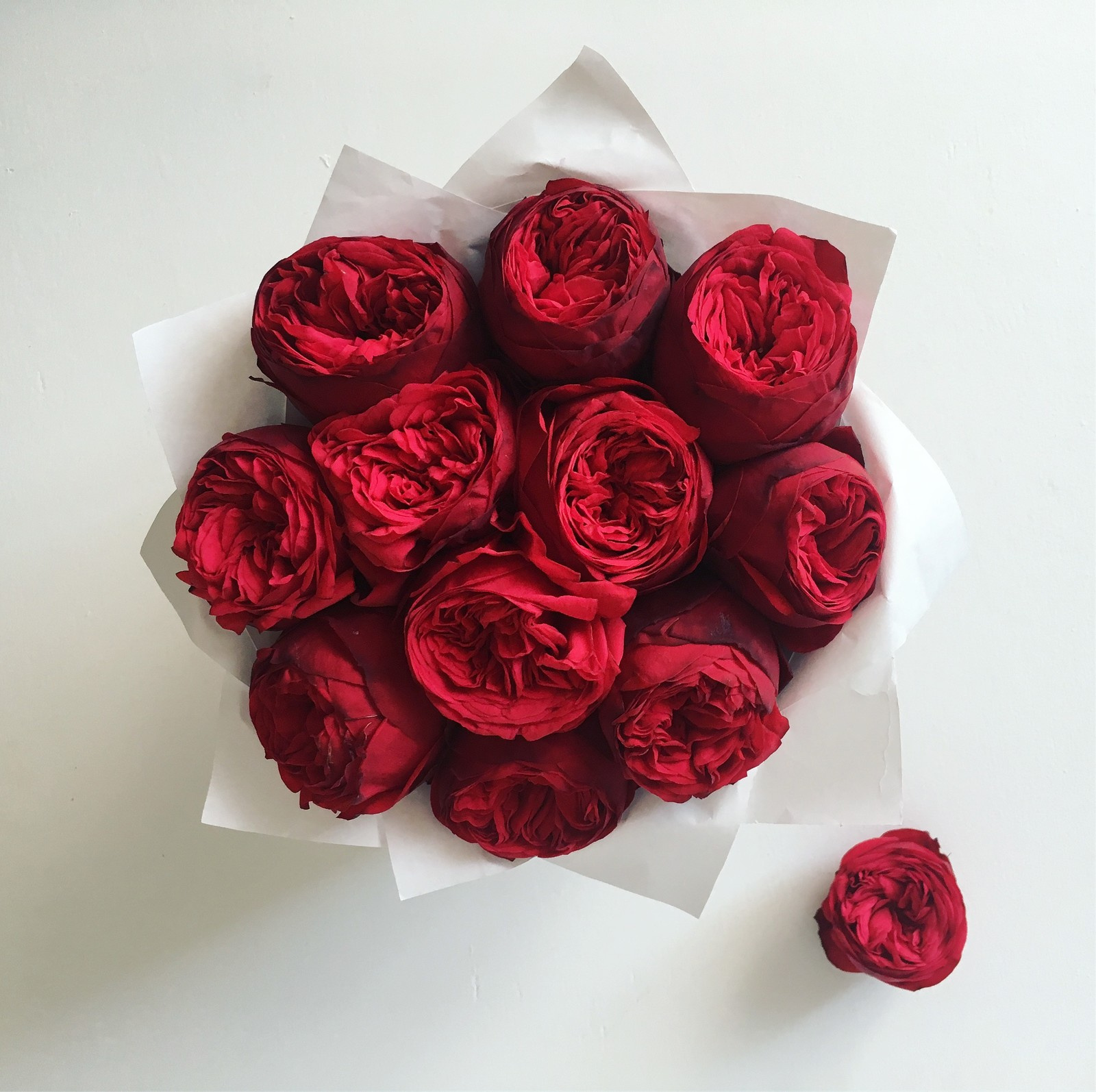 Алые розы в шляпных коробках