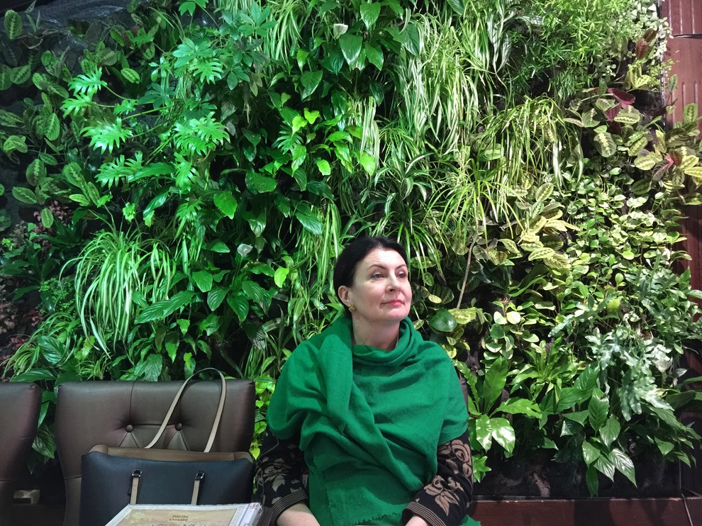 Вертикальный сад