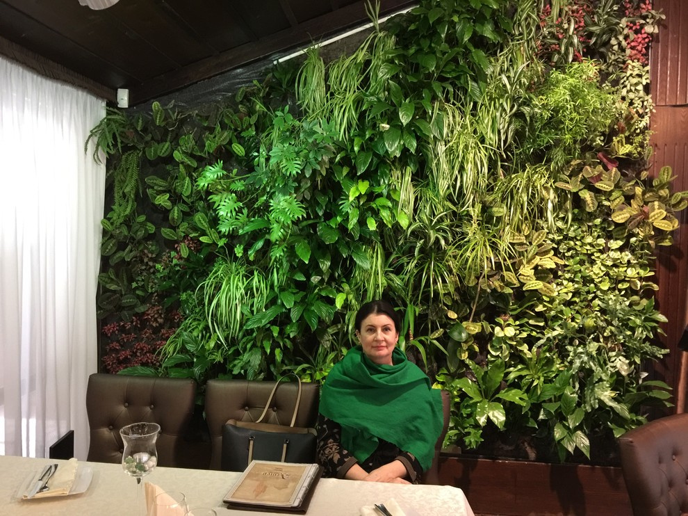 Вертикальный сад