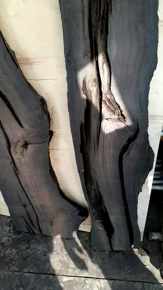 Мореный дуб bog oak, добыча от 03.2017