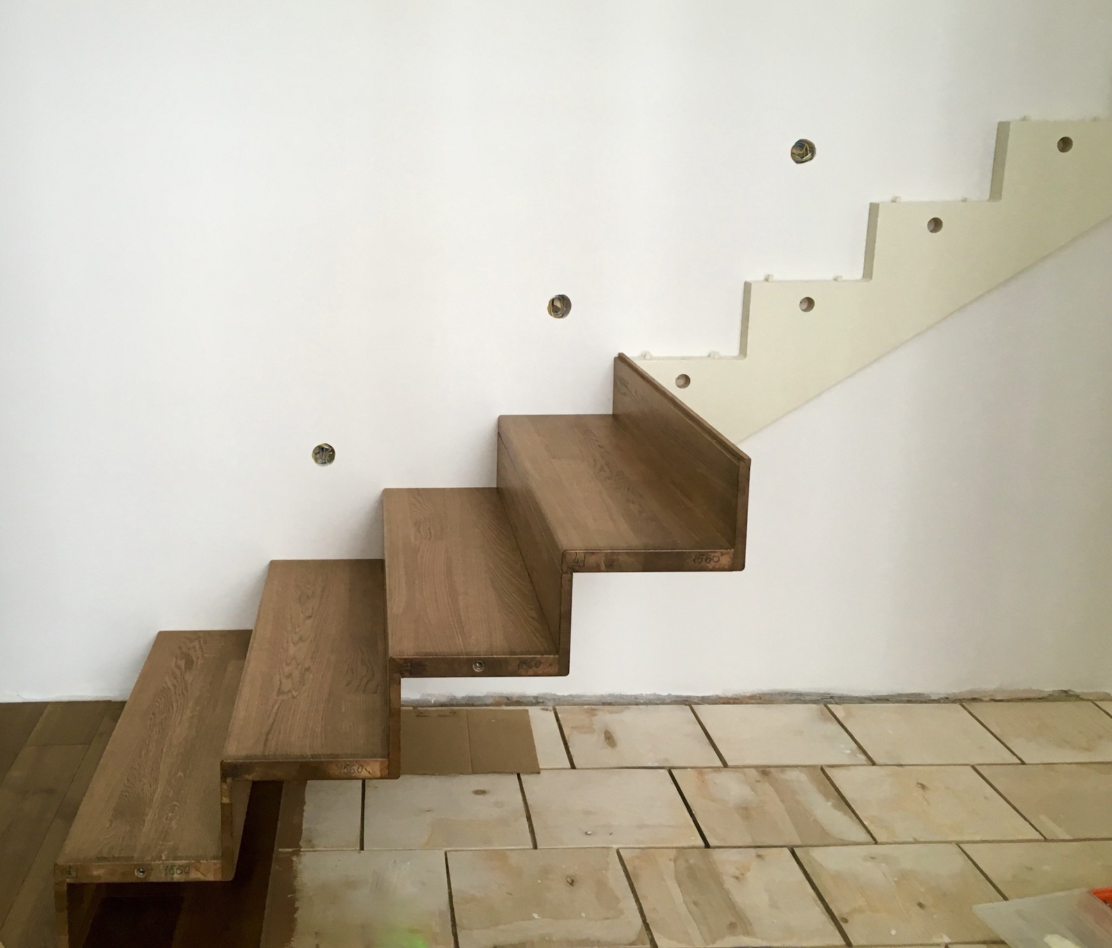 Стенберг Анастасия