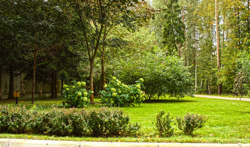 Дизайн лесного участка.