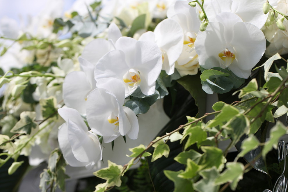 Практический мастер-класс по оформлению элитной свадьбы