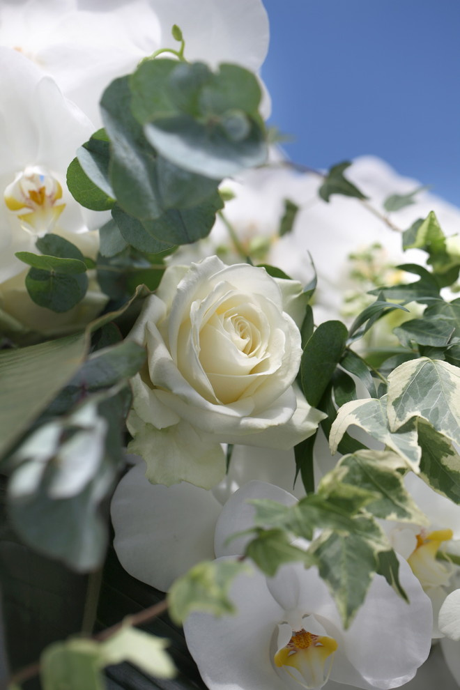 Практический мастер-класс по оформлению элитной свадьбы