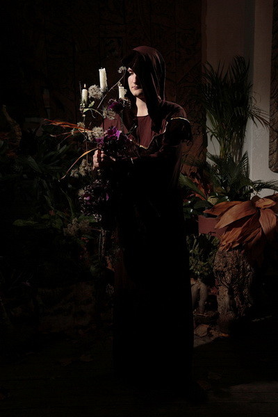 Готишник-2016