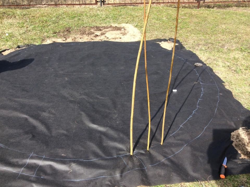 Плетеная беседка в детском саду.