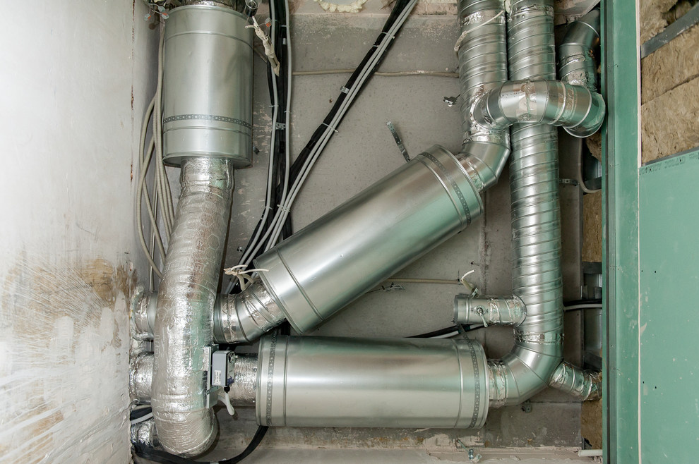 Смольный парк