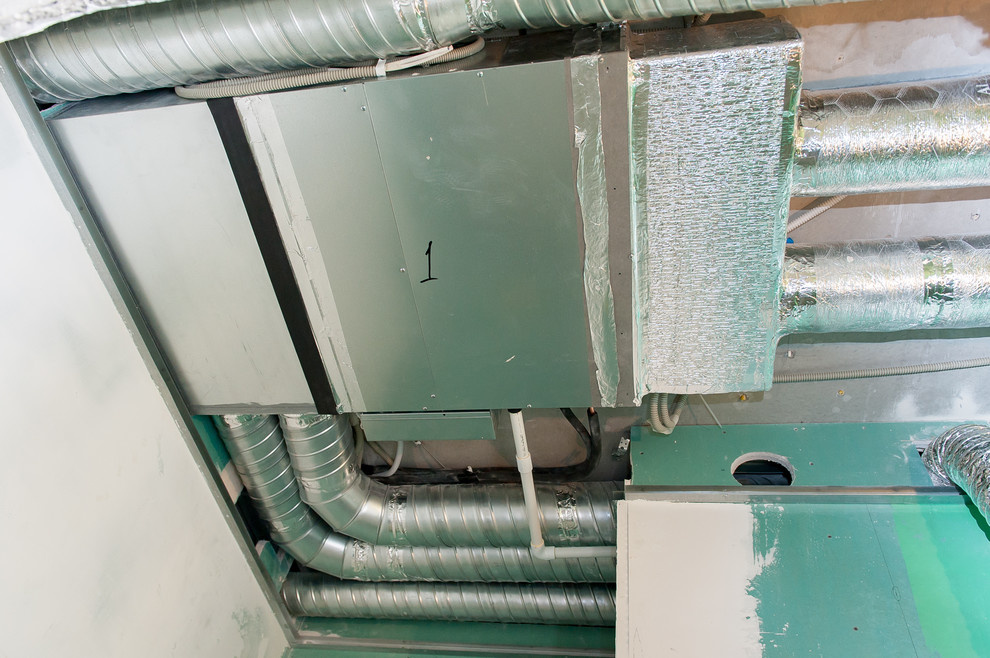 Смольный парк