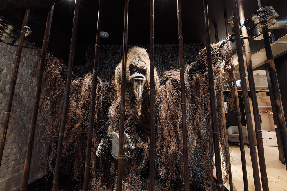 Northern Gothics Reflections