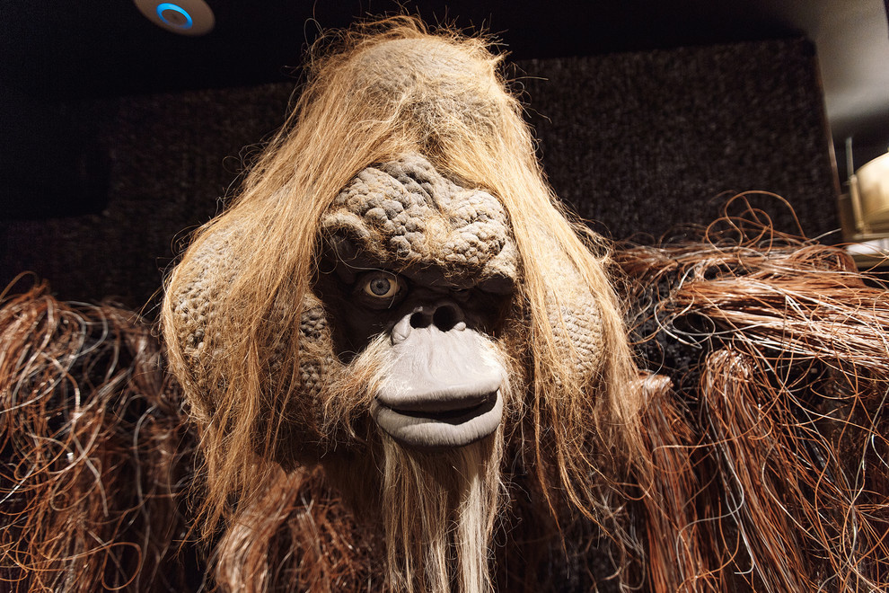 Northern Gothics Reflections