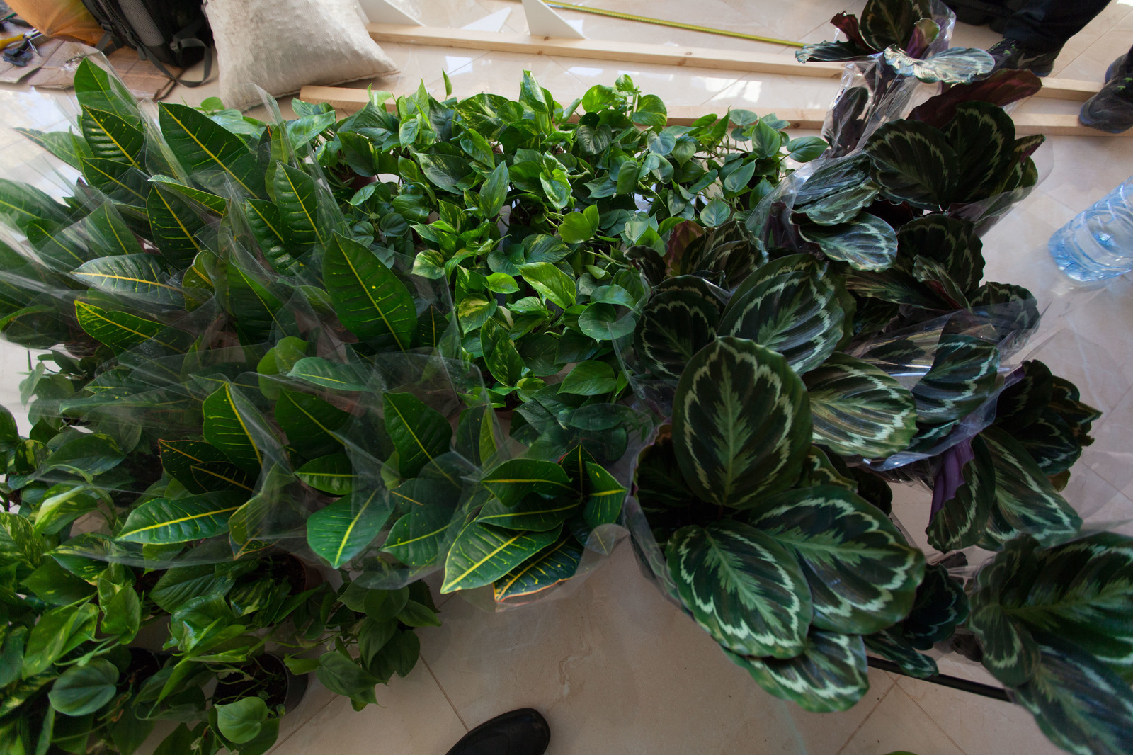 Ресторан грузинской кухни