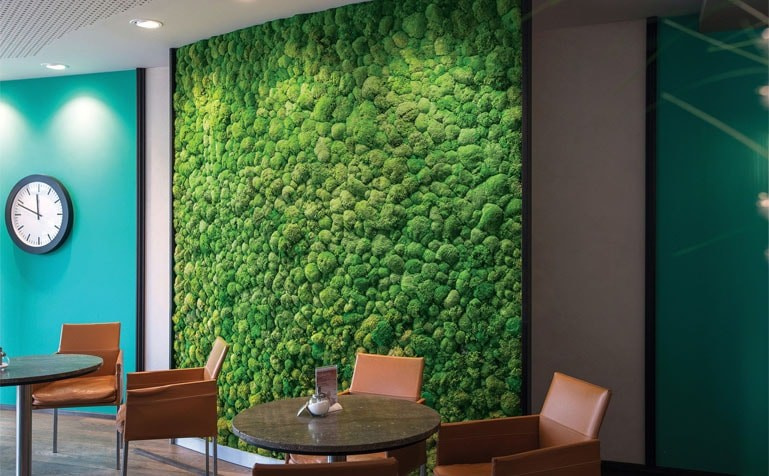 Панно и стены из стабилизированного мха