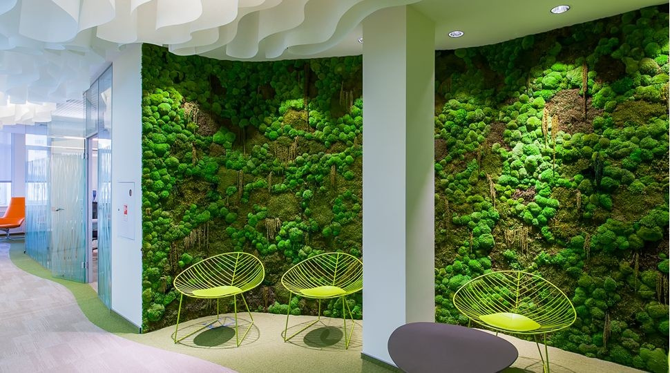 Панно и стены из стабилизированного мха