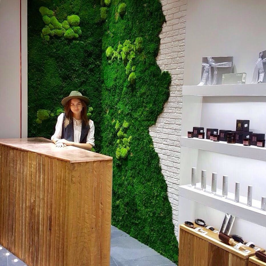 Панно и стены из стабилизированного мха