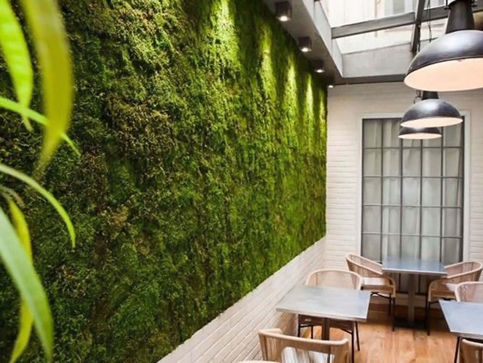 Панно и стены из стабилизированного мха