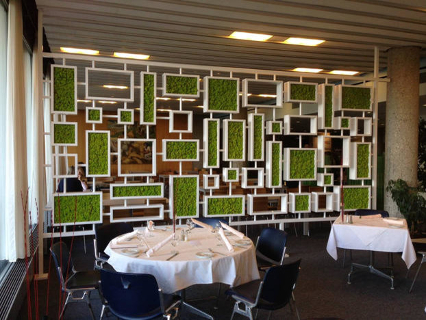 Панно и стены из стабилизированного мха