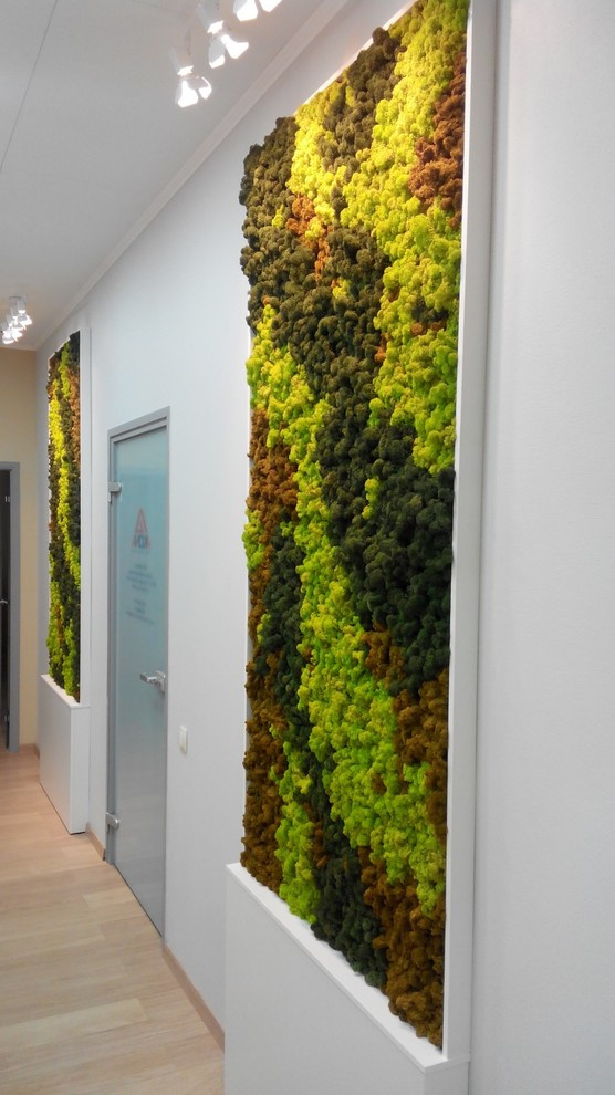 Панно и стены из стабилизированного мха