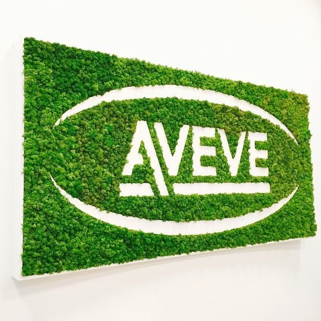 Логотипы со стабилизированным мхом