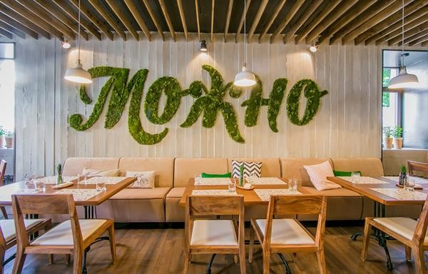 Логотипы со стабилизированным мхом