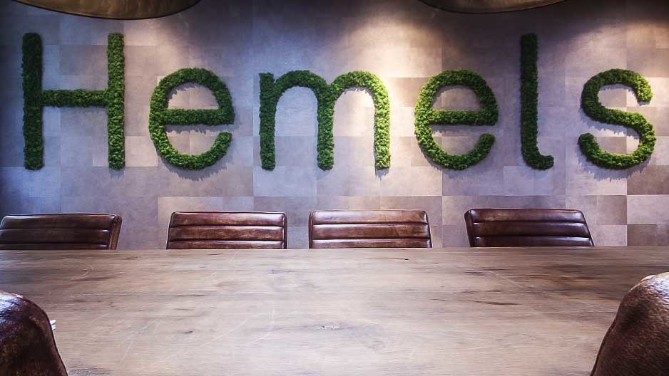 Логотипы со стабилизированным мхом