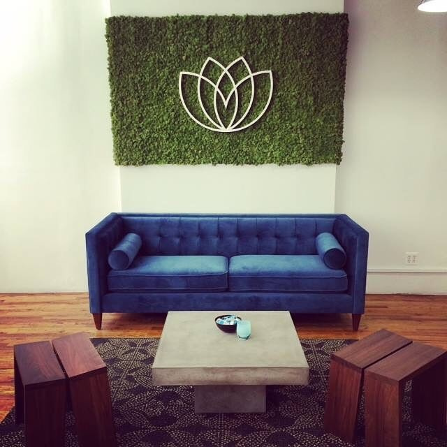 Логотипы со стабилизированным мхом